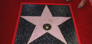За 40 000 долара можем да си купим звезда на Алеята на славата