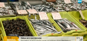 НАРУШЕНИЕ: Продават риба без касов бон във Варна (ВИДЕО)