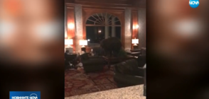 Мечка се разходи из хотел в Колорадо (ВИДЕО)