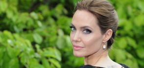Анджелина Джоли: Дръзка, секси, бунтарка и стилна дама (СНИМКИ ПРЕДИ И СЕГА)