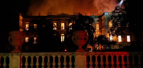Пожар унищожи почти изцяло Националния музей на Бразилия (ВИДЕО+СНИМКИ)