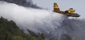 Пожар унищожи гора във Франция