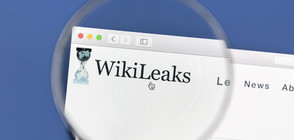 Изчезна съоснователят на „Уикилийкс”