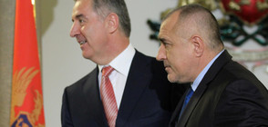 Борисов бе награден с орден „Черна гора“ с лента от президента Джуканович