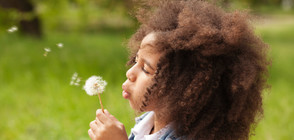 ВПЕЧАТЛЯВАЩИ ПРИЧЕСКИ: Тези деца нямат нужда от фризьор (ГАЛЕРИЯ)