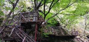 ОПОЗНАЙ БЪЛГАРИЯ: Да се разходиш по екопътека с безброй мостове и стълби в скалите (ГАЛЕРИЯ)