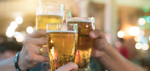 Хората започнали да отглеждат зърнени култури, за да варят бира