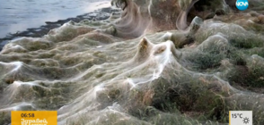 Огромна паяжина покри остров в Гърция (СНИМКИ)