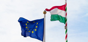 Ще приеме ли българското правителство позиция в защита на Унгария?