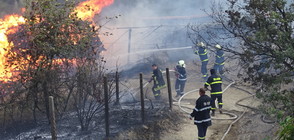 Пожар унищожи плевня в благоевградско село