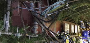 Тайфун взе две жертви в Япония, има ранени (ВИДЕО)