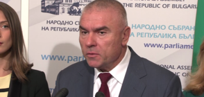 ВОЛЯ: Ще подкрепим кандидатурата на Красимир Влахов за конституционен съдия (ВИДЕО)