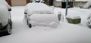 40-сантиметрова снежна покривка в Канада (ВИДЕО)