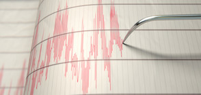 Земетресение с магнитуд 5,8 разлюля полуостров Камчатка