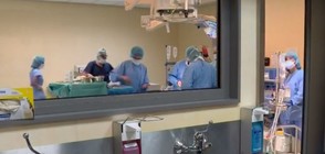 Чужди болници отказват да приемат българи за трансплантация на бял дроб