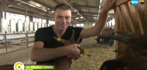 "Да хванеш гората": Швейцарски бизнесмен с ферма за кози у нас (ВИДЕО)