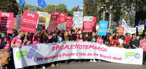 ПРОТЕСТ В ЛОНДОН: Британци искат втори референдум за Brexit (ВИДЕО+СНИМКИ)