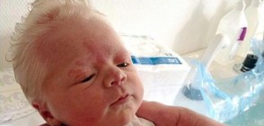 Бебета, които приличат на възрастни хора (ГАЛЕРИЯ)