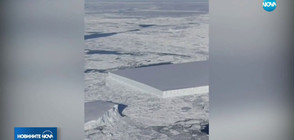 Откриха уникален квадратен айсберг в Антарктида (ВИДЕО)