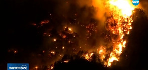 Огромен пожар в Италианските Алпи (ВИДЕО)