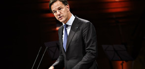 Премиерът на Холандия призова хората изобщо да не опитват канабис