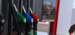 Протести срещу цените на горивата в няколко града у нас (ВИДЕО+СНИМКИ)