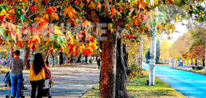 Температурен рекорд: В Силистра измериха 29 градуса