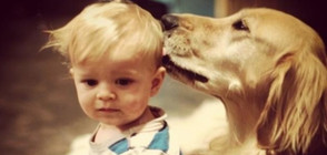 ВЕРЕН ПРИЯТЕЛ: Какво е чувството да имаш домашен любимец? (ГАЛЕРИЯ)