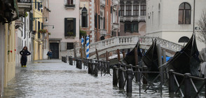 Венеция е изправена пред най-голямото наводнение от 10 години насам (ВИДЕО+СНИМКИ)