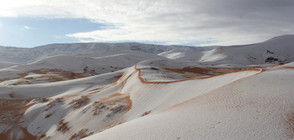 СНЯГ В АФРИКА: 30 сантиметра снежна покривка в Мароко (ВИДЕО)