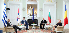 Лидерите на България, Гърция, Румъния и Сърбия в "Евксиноград" (ВИДЕО+СНИМКИ)