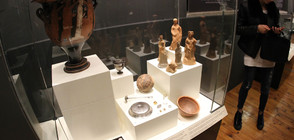 Над 300 спасени от нелегален трафик артефакти на изложба в София (СНИМКИ)