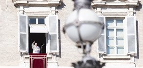 Папата: Да търсим всички възможни начини за приключване на конфликтите по света