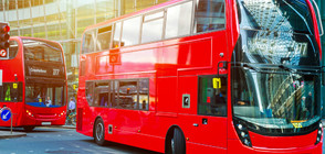 Двуетажен автобус с пиян шофьор предизвика тежък инцидент в Лондон (СНИМКИ)