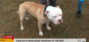 След като мъж беше нахапан от питбул: Собственикът на кучето с различна версия