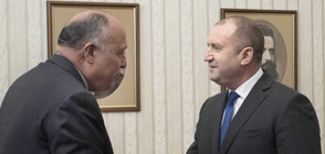 Президентът се срещна с египетския външен министър