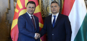 "Политико": Унгарското разузнаване помогнало на Груевски да избяга
