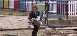ПО ВАШ СИГНАЛ: Детска градина в Пловдив e блокирана от ремонти