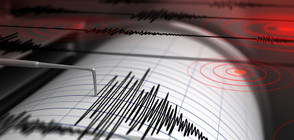 Сеизмолог: През 2022 г. у нас е имало 40 земетресения, най-силното е 4,5 по Рихтер