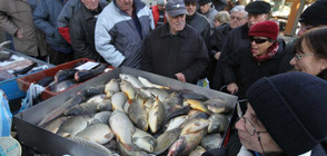 ПРОВЕРКИ ЗА НИКУЛДЕН: 523 кг риба иззети за седмица