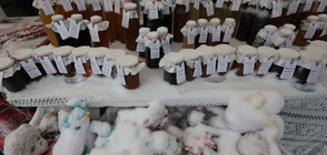 Обилният снеговалеж затвори Коледния фермерски базар (СНИМКИ)