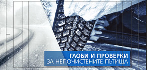 СЛЕД СНЕЖНИЯ КАПАН ПО ПЪТИЩАТА: Само една фирма ще бъде глобена