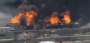 Голям пожар в петролна рафинерия в Рио де Жанейро (ВИДЕО)