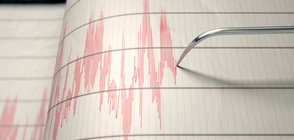 Силно земетресение удари руския Далечен изток