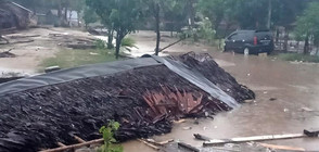 Няма пострадали българи при цунамито в Индонезия (ВИДЕО+СНИМКИ)
