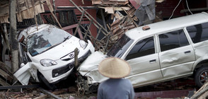 Стотици жертви на цунамито в Индонезия (ОБЗОР)