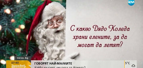 ГОВОРЯТ НАЙ-МАЛКИТЕ: Какво мислят децата за Коледа? (ВИДЕО)