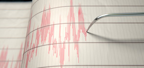 Мощно земетресение разтърси Перу (ВИДЕО)
