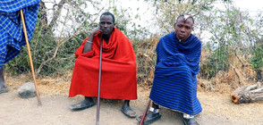 "Без багаж" попадат под обстрела на масаите в Серенгети