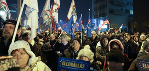 Протести срещу властта в Унгария, Сърбия и Франция (ВИДЕО)